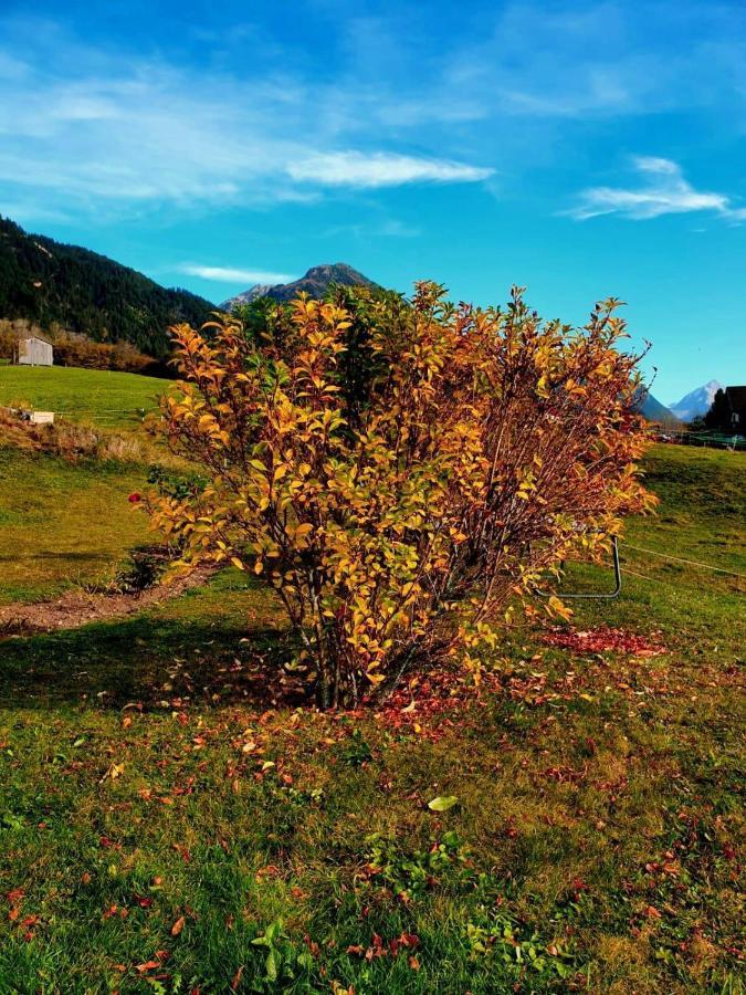 Loretz Liane Sankt Gallenkirch Bagian luar foto